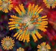 Какво не открива "РНК на вируса на хепатит С"? Анализ на РНК на вируса на хепатит С
