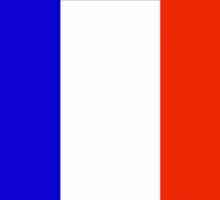 Какво представляват оръжията и знамето на Франция