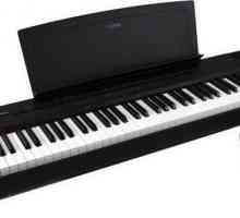 Цифров пиано Yamaha P 35: спецификации, отзиви, снимка