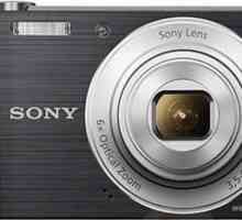 Цифров фотоапарат Sony Cyber-shot DSC-W810: описание, режими на снимане, прегледи