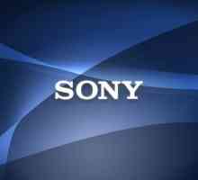 Цифров фотоапарат Sony Cyber ​​Shot DSC-W830: отзиви
