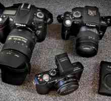 Цифров добър евтин фотоапарат: рейтинг, преглед, характеристики и обратна връзка на собствениците.…