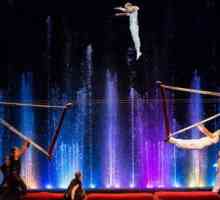 Цирк на танцуващи фонтани "Аквамарин", "Тайната на музея на мечтите": рецензии,…