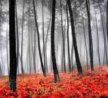 Цитати и афоризми за есента