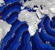 Цунами в Индийския океан през 2004 г. Земетресение в Индийския океан през 2004 г.