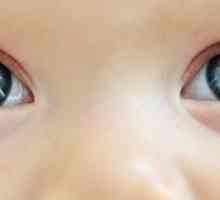 Цветът на очите на детето: масата. Как да определите цвета на очите на детето