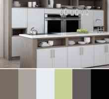 Цветова схема на кухнята в интериора