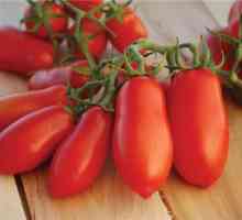 "Дамски пръсти" - домат за вила