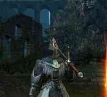Dark Souls 2: Armor и неговите сортове