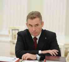 Дейности на комисаря по правата на детето в Руската федерация