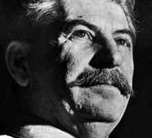 Рожденият ден на Сталин - за комунистите радост, за народа тъга