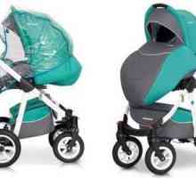 Нано Рико бебешка количка: описание, избор на модел, ревюта