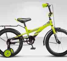 Детски велосипеди Stels: ревюта, модели, спецификации и ревюта
