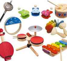 Детски музикален инструмент - музикални играчки за деца