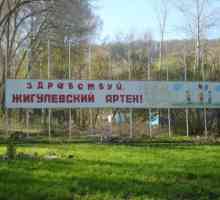 Детски здравен лагер `Zhigulevsky Artek` в Самара (Molodetsky Kurgan): описание,…