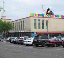 Детски търговски център "Панда-Сити" на Коломенская: магазини и снимки
