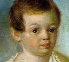 Детството на Пушкин. Кратко съдържание на спомените за него