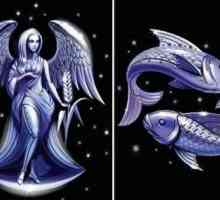 Дева-жена - Риба-мъж: съвместимост. Мъжки хороскоп - Риби