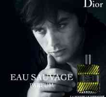 `Dior` (мъжки парфюм): отзиви. Луксозен парфюм за мъже