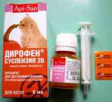 "Dirofen" (суспензия): антихелминен препарат за животни