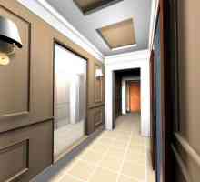 Дизайн коридор: идеи за проектиране на стени и тавани, мебели