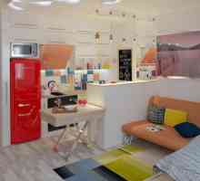 Едностаен апартамент дизайн: разпределение за стая зониране, мебели, детски кът