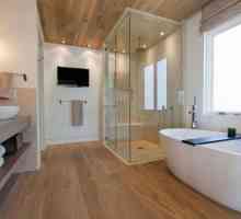 Банята е модерна: идеите за декориране на голяма и малка баня