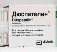 "Duspatalin": аналог по-евтин от руски, инструкции за употреба