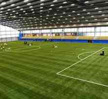 Дължина на футболното игрище, ширина, тревно покритие - изисквания за арени