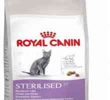 За кастрирани котки "Royal Canin": основните характеристики и отзиви