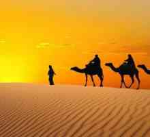 За тези, които отиват в Египет. 5 звездни хотели: Преглед, описание, функции, снимки и отзиви