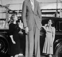 "Kind Giant", "Украинският Гъливер" и най-високият човек в света
