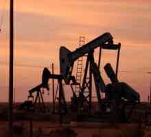 Производството на петрол и неговото значение за световната икономика