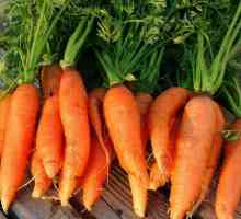 Домашно конфитюр от моркови: рецепта