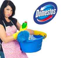 `Domestos`: инструкции за употреба и различни съвети за идеалната чистота в къщата