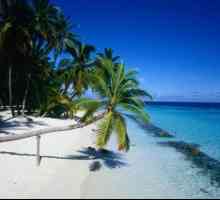 Доминиканската република: столицата Санто Доминго, най-добрите плажове и екскурзии в Пунта Кана.…