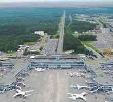 Домодедово: летищна схема, терминали, инфраструктура