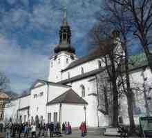 Dome Cathedral (Талин): основната атракция на естонската столица