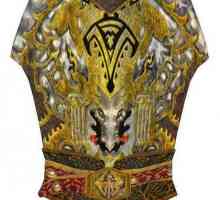 Armor of Tiber Septim, `Skyrim`: описание, функции и отзиви