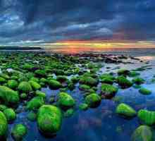 Исландия Атракции: Природа, климат и интересни факти