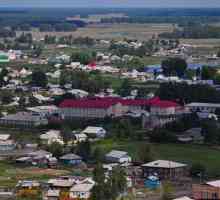 Доволни в района на Новосибирск: местоположение, история и сегашното селище