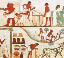 Древен Египет: икономиката, нейните характеристики и развитие