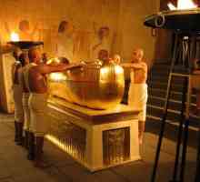 Древен Египет: свещениците, знанията и ролята им в живота на държавата. Какво знание притежават…