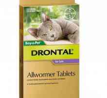 `Drontal` за котки: ръководство за потребителя (ревюта)