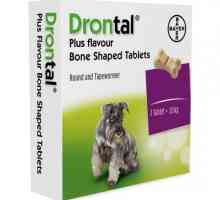 "Drontal" за кучета: указания, инструкции за употреба, нежелани реакции, прегледи