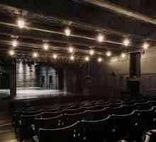 Soulful театър от Zhenovach Сергей: описание, история, репертоар и рецензии
