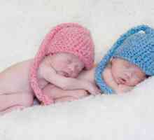 Близнаци и близнаци: каква е разликата и е толкова голяма