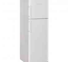 Хладилник с две отделения Liebherr CTP 2521: ревюта, характеристики, държави