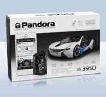 Двупосочна аларма Pandora 3950: описание, цени, отзиви и др