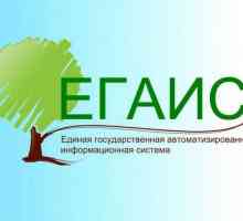 Единна държавна автоматизирана система (EGAIS) "Счетоводство за дървен материал и сделки с…